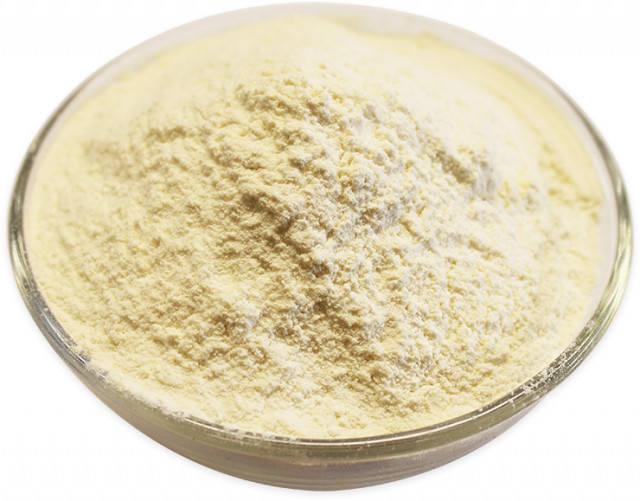 Wholesale Organic Garlic Powder | Nuts in Bulk