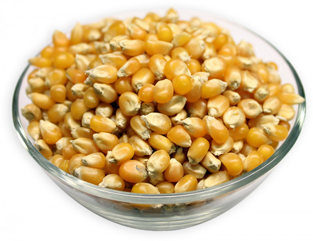 Wholesale Popcorn (Raw Corn) Seeds | Nuts in Bulkv