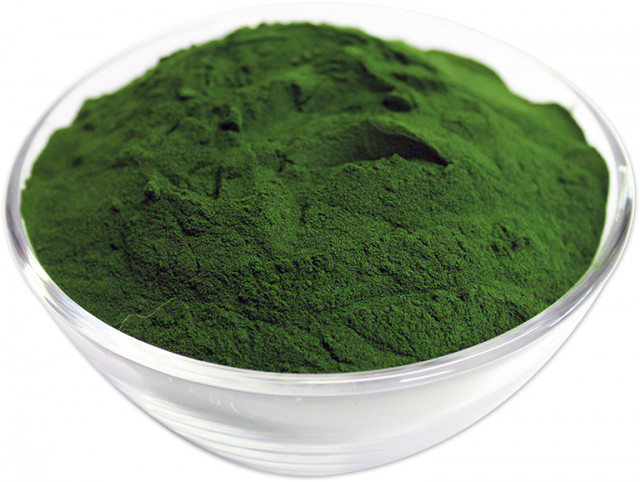 Wholesale Chlorella Powder | Nuts in Bulk