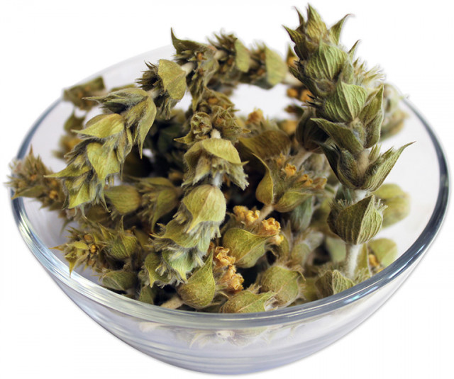 Wholesale Mountain Tea (Sideritis Raeseri) | Nuts in Bulk