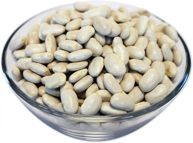 Wholesale Great Northern White Kidney Beans | Nuts in Bulk