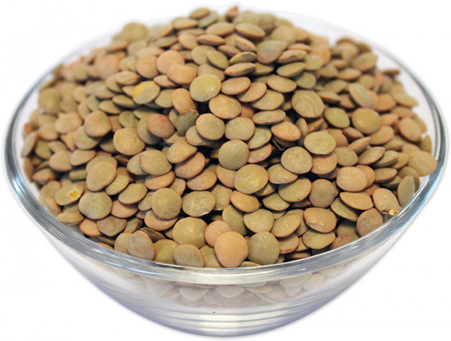 Wholesale Organic Green Lentils | Nuts in Bulk