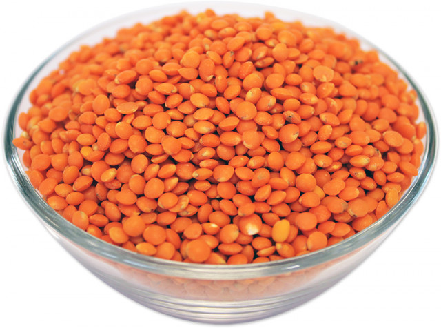 Wholesale Small Lentils | Nuts in Bulk