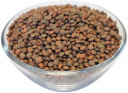 Wholesale Organic Brown Lentils | Nuts in Bulk