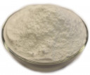 Wholesale Coconut Milk Powder | Nuts in Bulk