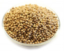 Wholesale Whole Coriander Seeds | Nuts in Bulk